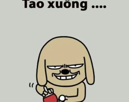 Tuyển chọn 92+ hình nền bỏ điện thoại tao xuống cực hài hước