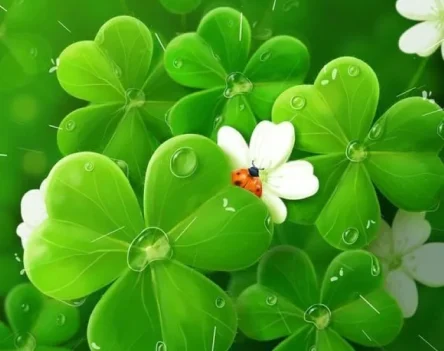 TOP 148+ hình nền cỏ 3 lá cho điện thoại mang đến vận may