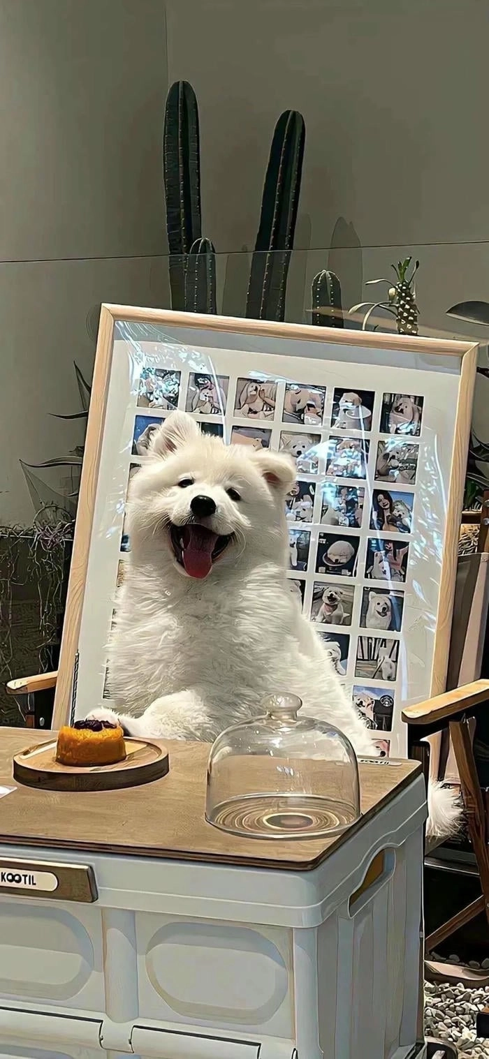 Hình nền chó đáng yêu