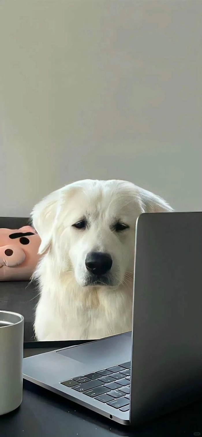 Hình nền điện thoại con chó cute dễ thương