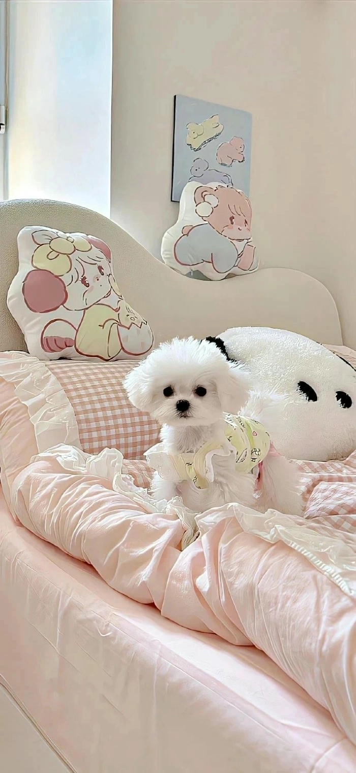 Ảnh nền điện thoại chó cute dễ thương