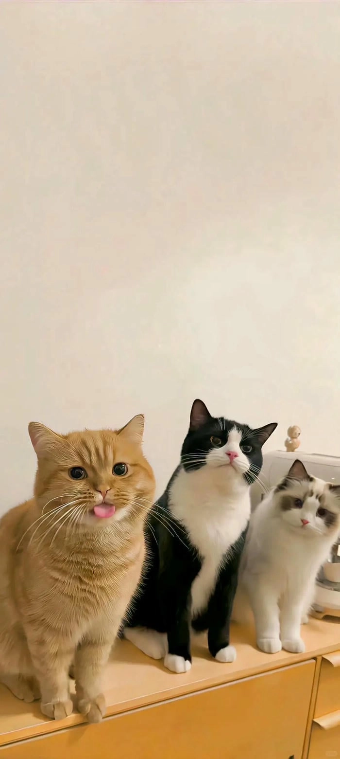 wallpaper cute đơn giản cho smartphone