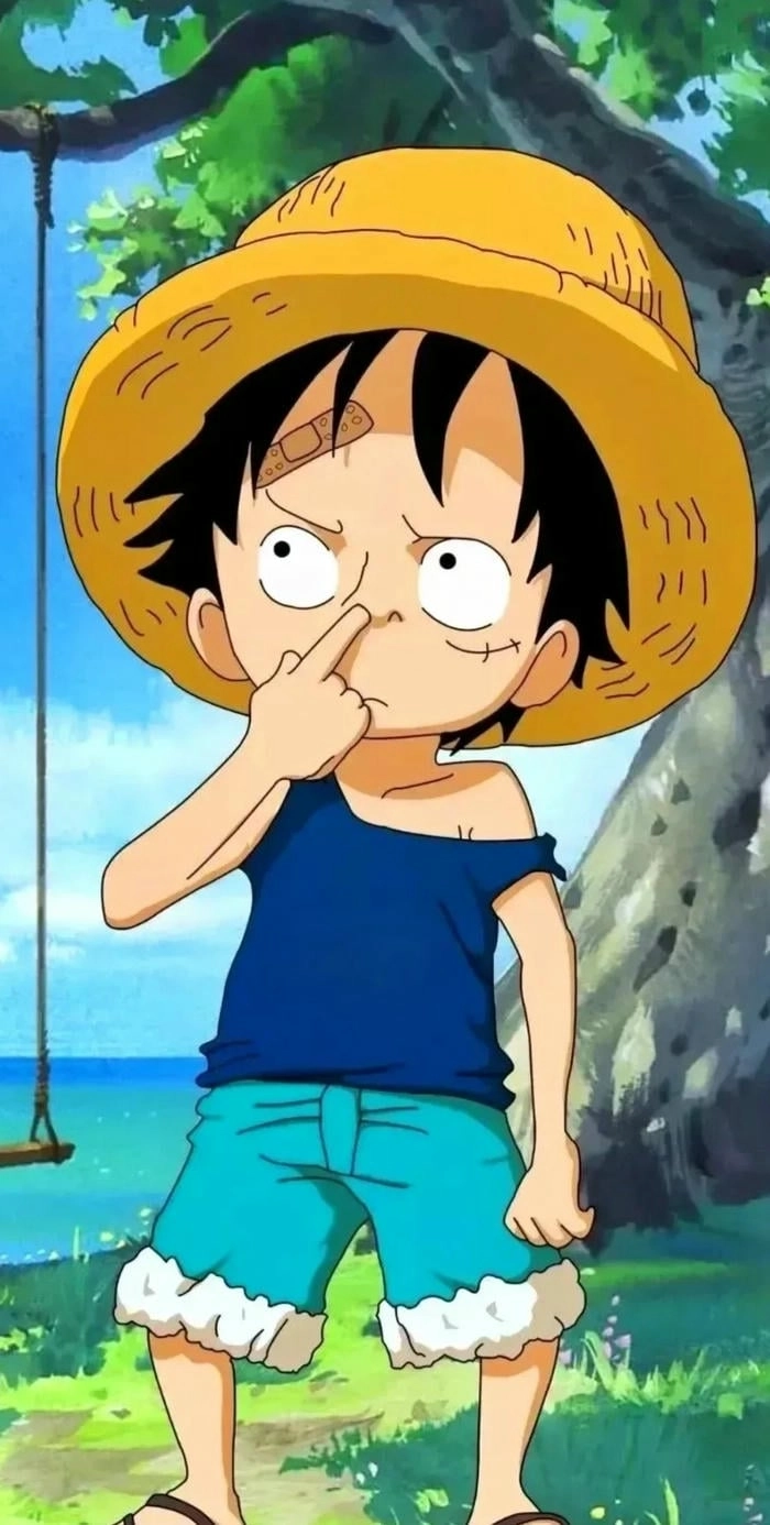 One Piece wallpaper siêu nét 4K