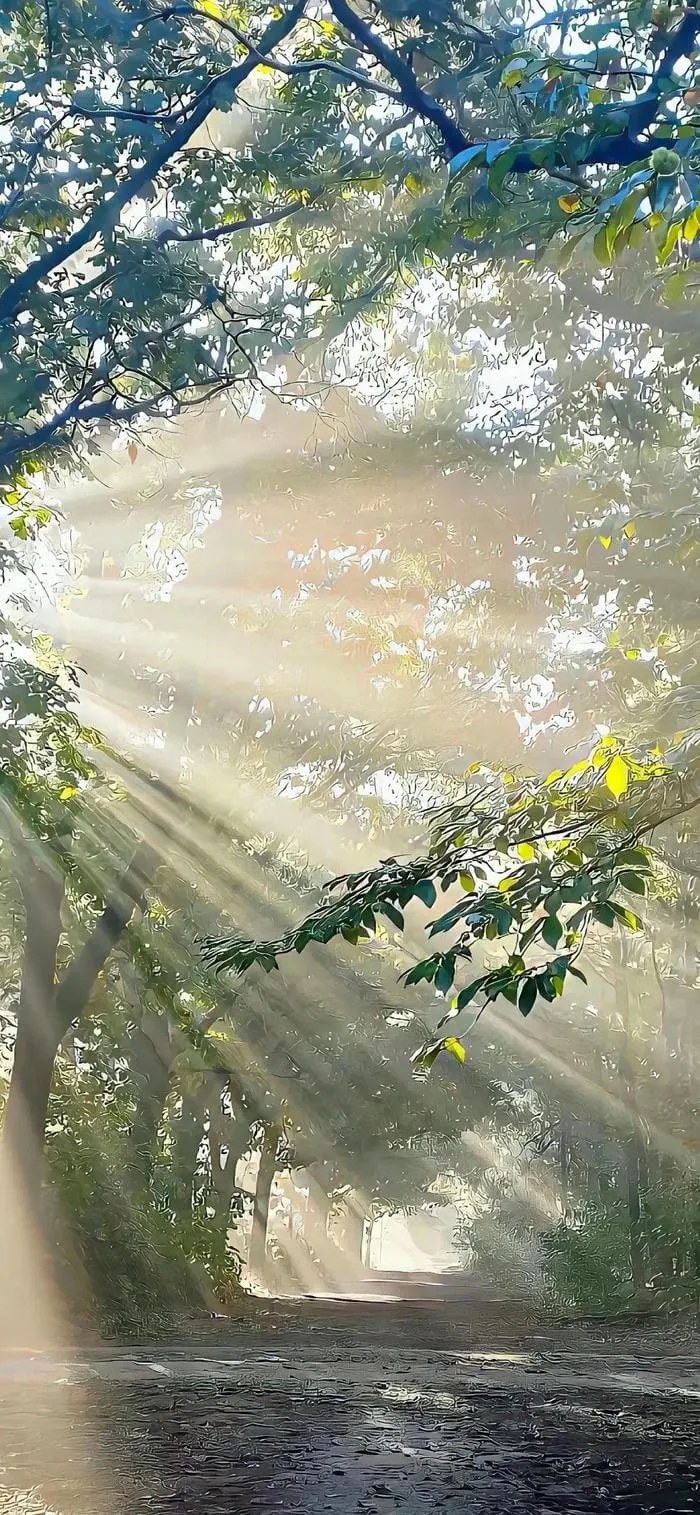 Background cho người mệnh mộc
