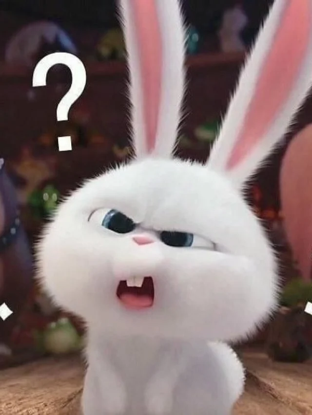 Cập nhật 103+ ảnh thỏ Snowball avatar siêu cute & ngộ nghĩnh