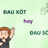 Đau xót hay đau sót: Lỗi sai phổ biến trong tiếng Việt