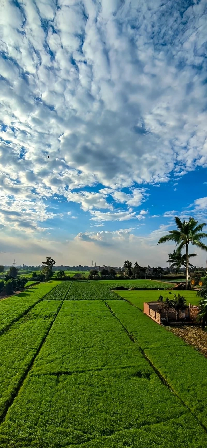 Hình nền điện thoại phong cảnh bình yên 