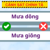 Mưa dông hay Mưa giông: Cách gọi nào chuẩn xác?
