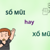 Sổ mũi hay xổ mũi: Cách dùng đúng trong đời sống hằng ngày