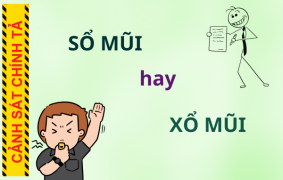 Sổ mũi hay xổ mũi: Cách dùng đúng trong đời sống hằng ngày