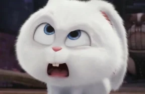 Cập nhật 103+ ảnh thỏ Snowball avatar siêu cute & ngộ nghĩnh