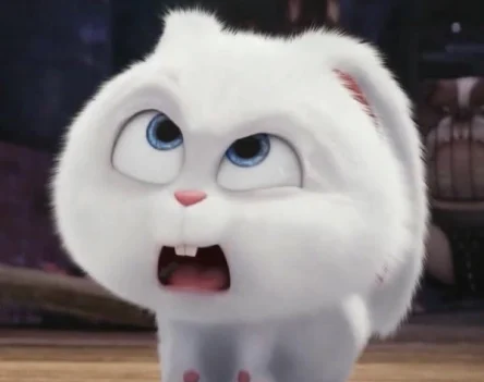 Cập nhật 103+ ảnh thỏ Snowball avatar siêu cute & ngộ nghĩnh
