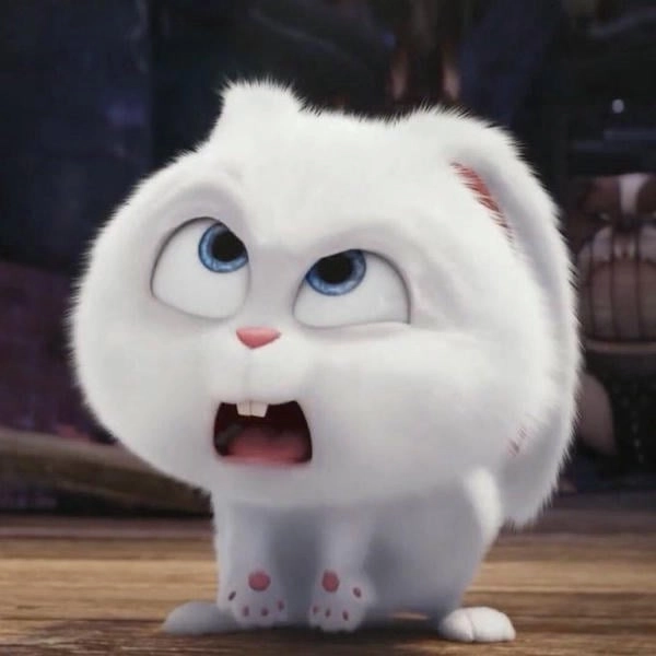 Hình hoạt hình thỏ Snowball
