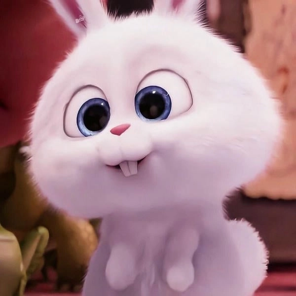 Snowball rabbit hình dễ thương