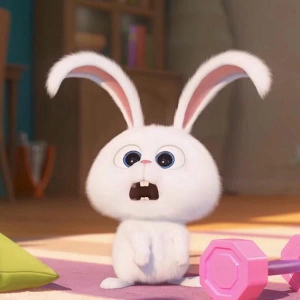 Thỏ Snowball hình chibi