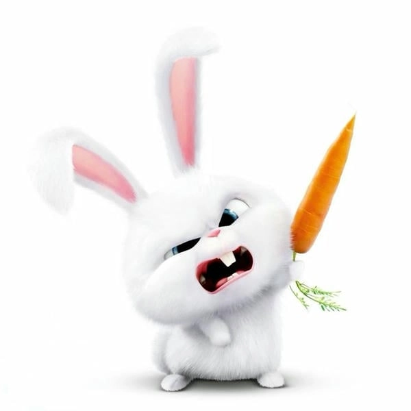 Thỏ Snowball avatar dễ thương