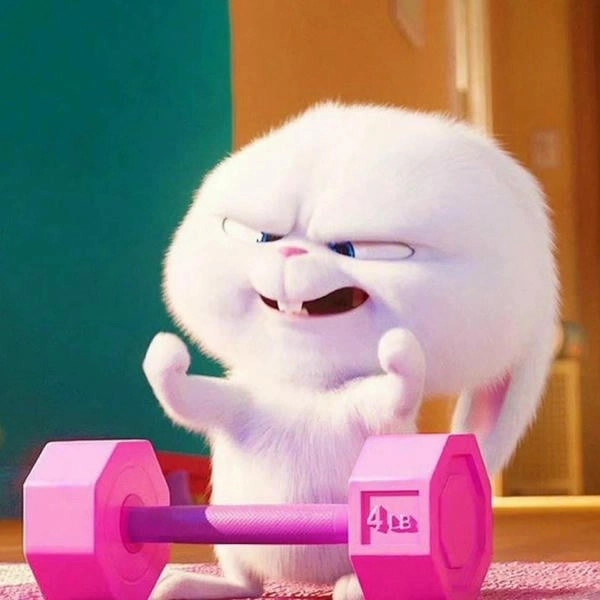 Hình avatar thỏ dễ thương Snowball