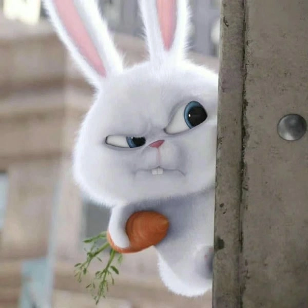 Thỏ Snowball chibi đáng yêu