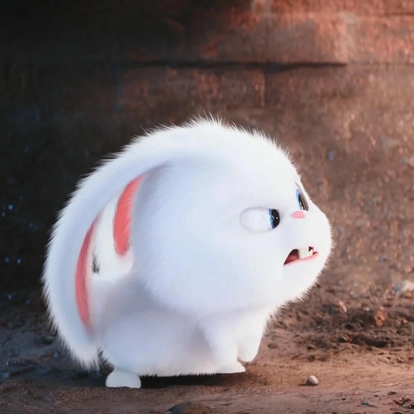 Thỏ Snowball phiên bản dễ thương