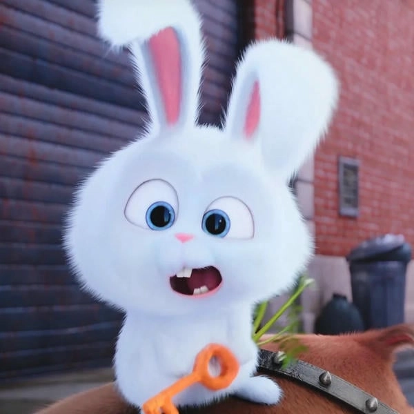 Thỏ hoạt hình Snowball đáng yêu