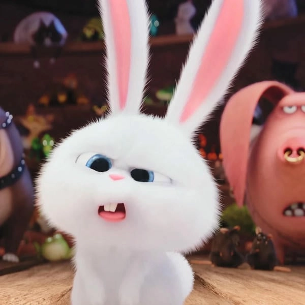 Snowball thỏ dễ thương