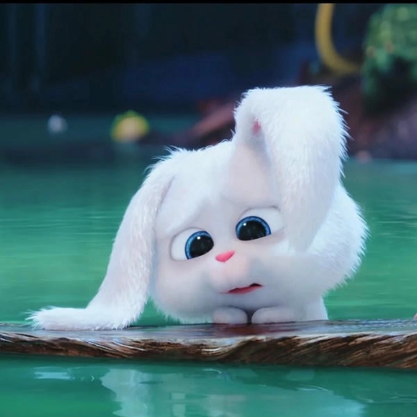 Hình avatar thỏ hoạt hình Snowball