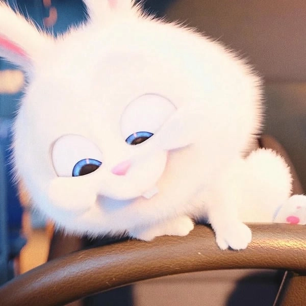 Snowball the rabbit avatar