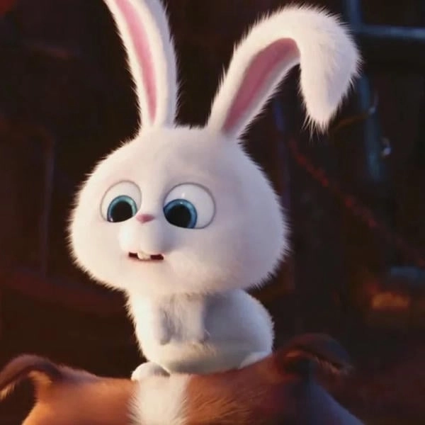 Snowball thỏ hoạt hình đáng yêu