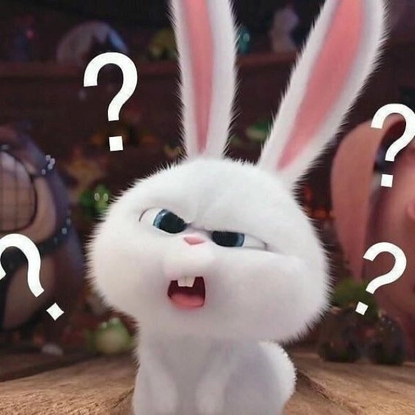 Thỏ Snowball tức giận buồn cười