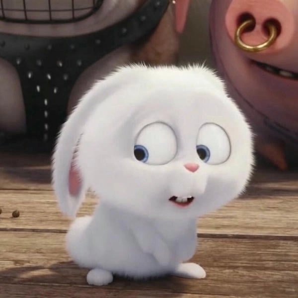 Bunny Snowball cute avatar
