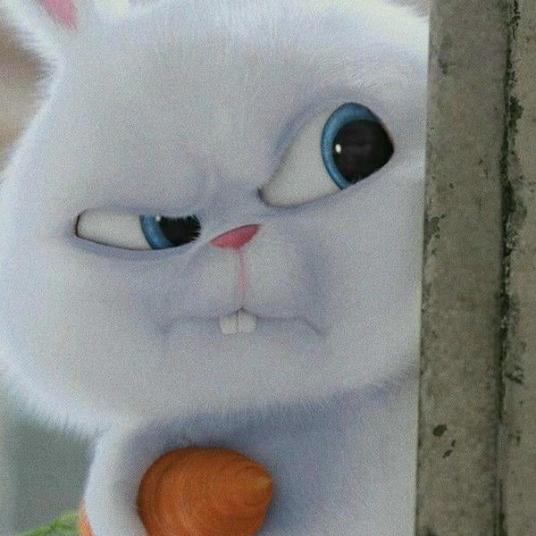 Ảnh thỏ Snowball chibi