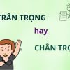 Trân trọng hay chân trọng: Bạn đã viết đúng từ chưa?