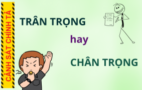 Trân trọng hay chân trọng: Bạn đã viết đúng từ chưa?