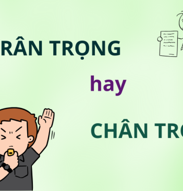 Trân trọng hay chân trọng: Bạn đã viết đúng từ chưa?