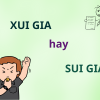 Xui gia hay sui gia: Đâu là cách viết đúng chuẩn?